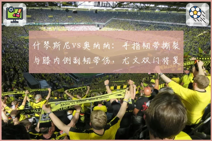 什琴斯尼vs奥纳纳：手指韧带撕裂与膝内侧副韧带伤，尤文双门将复出前景迥异