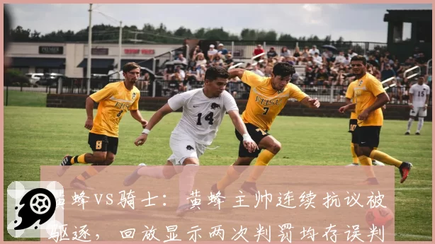 黄蜂vs骑士：黄蜂主帅连续抗议被驱逐，回放显示两次判罚均存误判，裁判权威如何平衡？