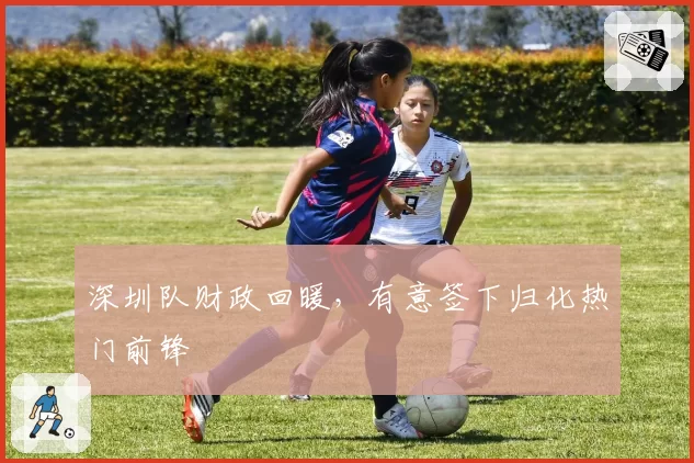 深圳队财政回暖，有意签下归化热门前锋