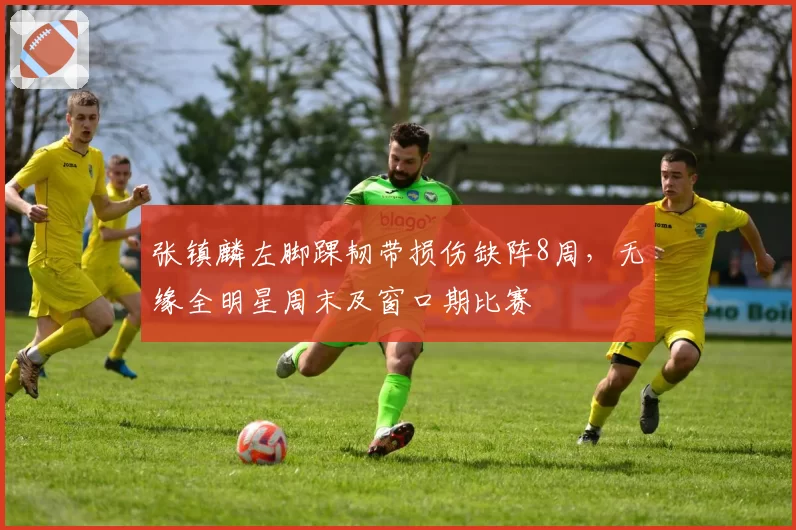 张镇麟左脚踝韧带损伤缺阵8周，无缘全明星周末及窗口期比赛